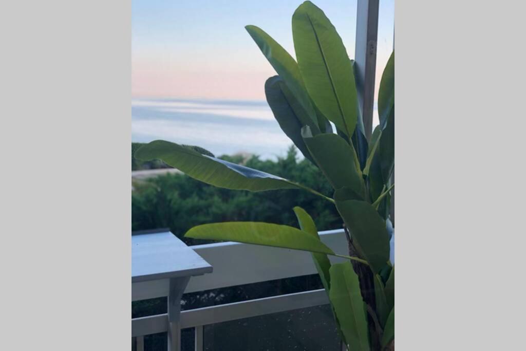Charmant Studio Avec Terrasse Vue Mer A 50 M Sainte-Maxime Ngoại thất bức ảnh